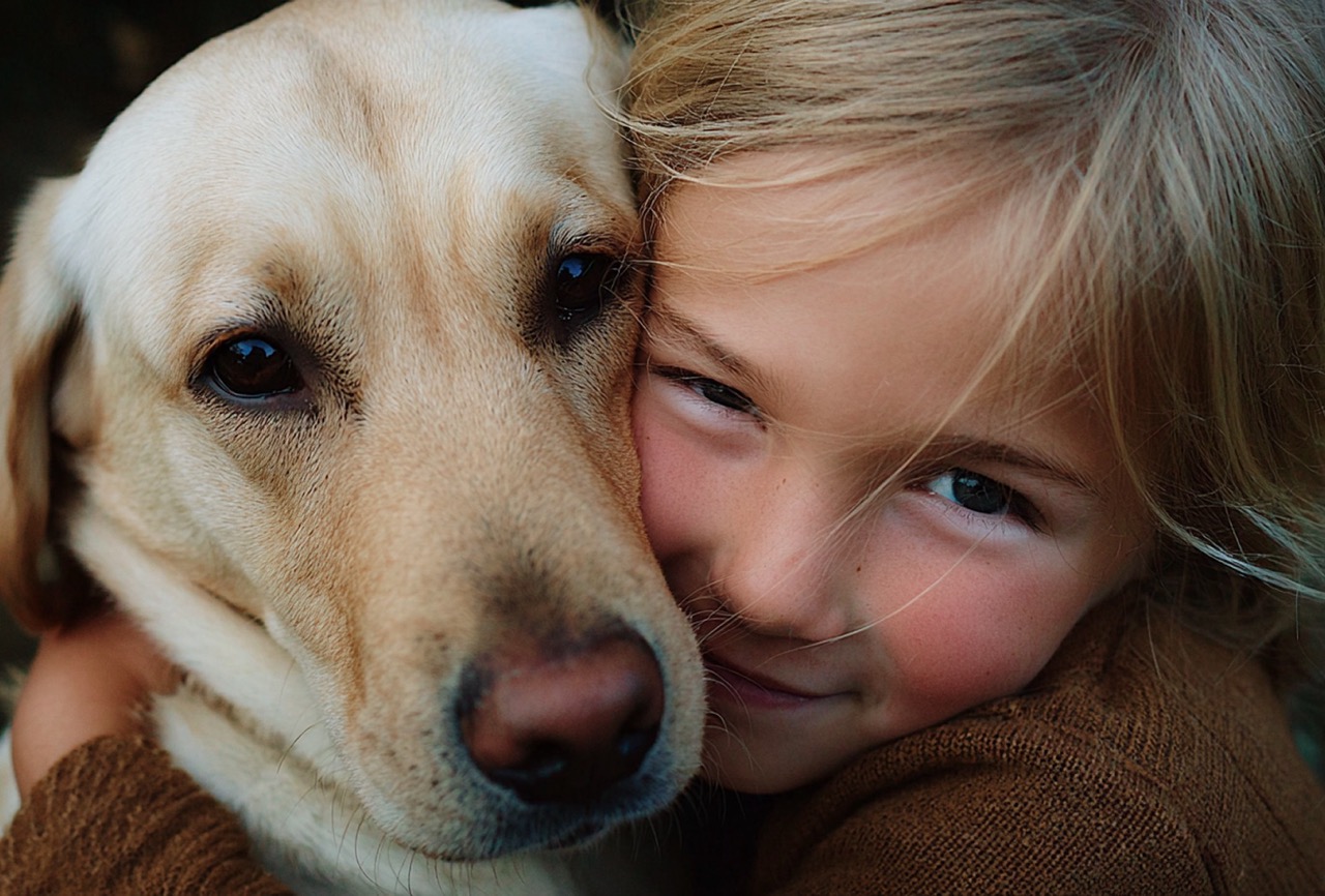 Kind knuffelt een blonde labrador, wang tegen wang
